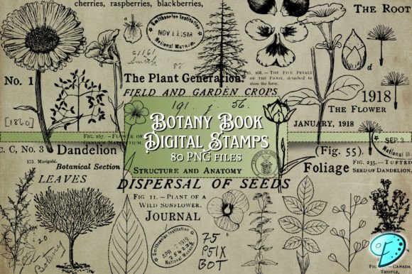 Botany Book Digi Stamps Transparent PNGs - Download Now