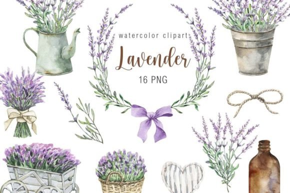 Watercolor Lavender Clipart - Download Now